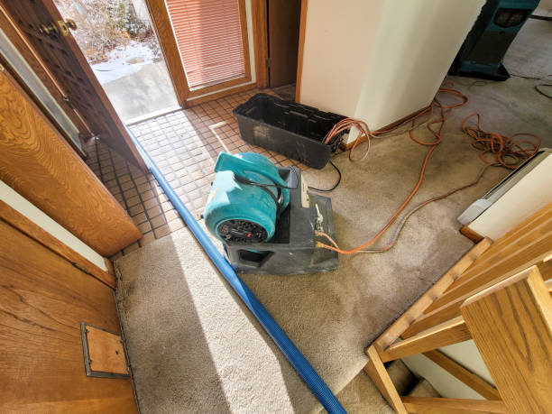 Best Local water damage restoration  in Langston, OK